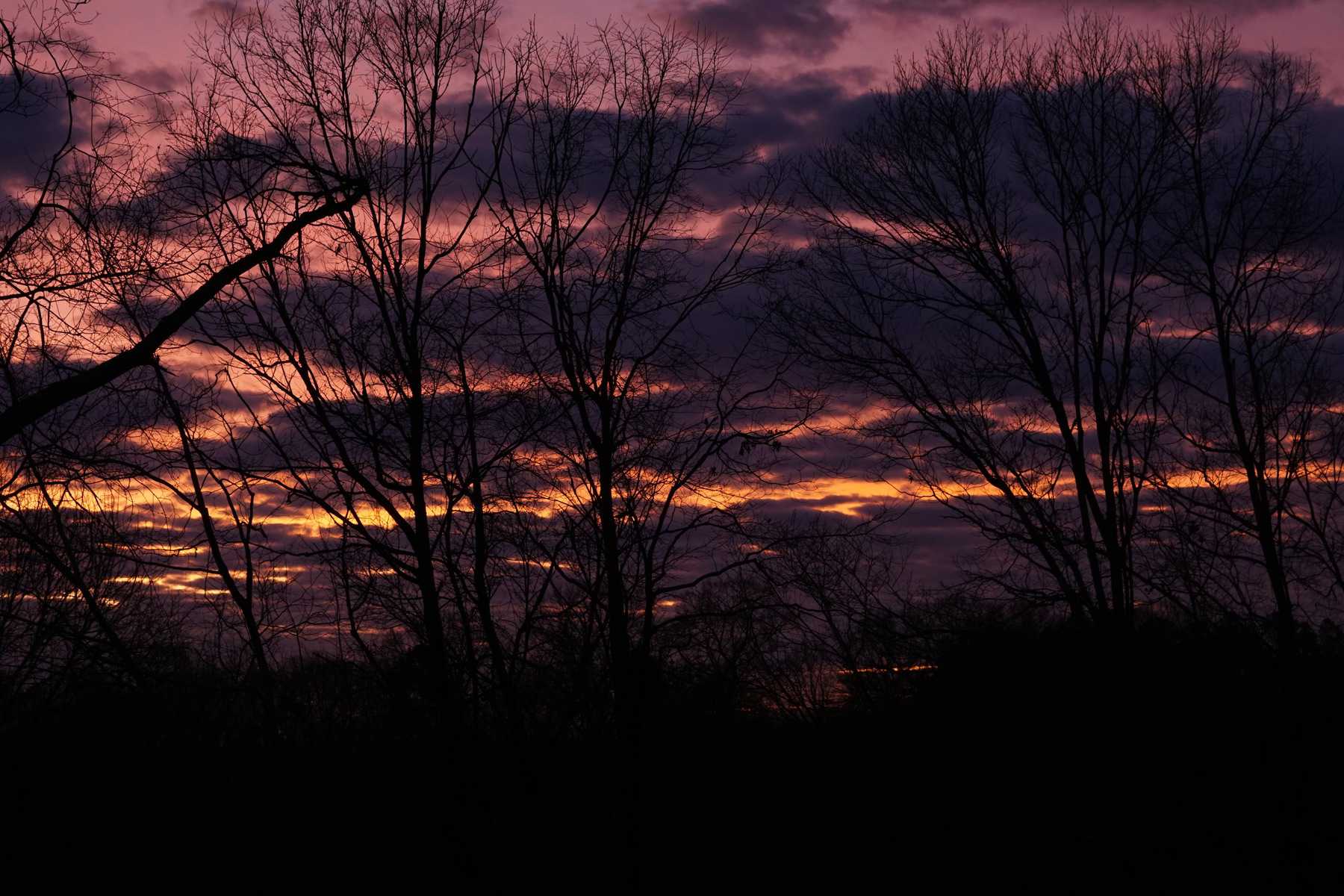 DSC02336.jpg