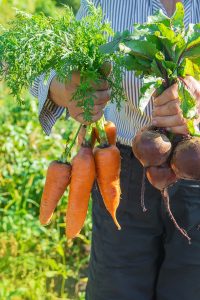 woman holding carrot and beets
