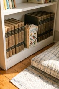bookshelf in sunny corner.