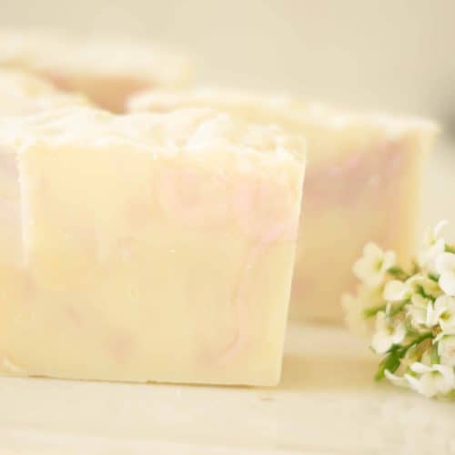 Mango Butter Soap Recipe Heart's Content Farmhouse