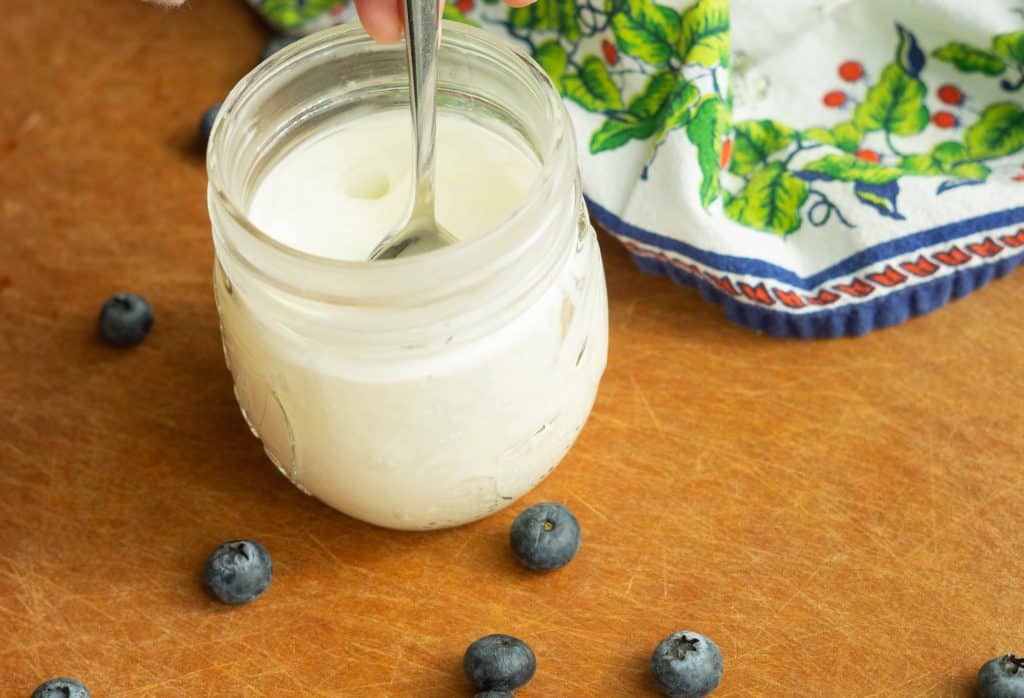 Keto Greek Yogurt Recipe : Heart's Content Farmhouse