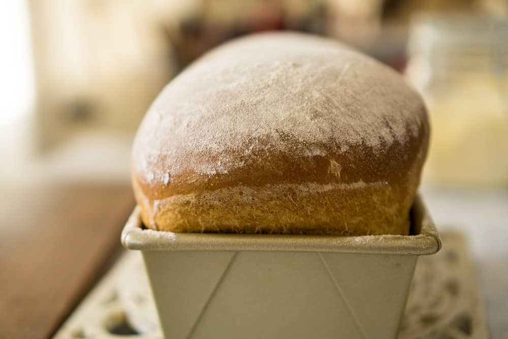 loaf of sandwich bread still in pan, looking at short side