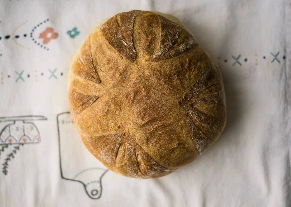 Troubleshooting sourdough