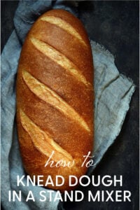 How to Knead Dough in a Stand Mixer