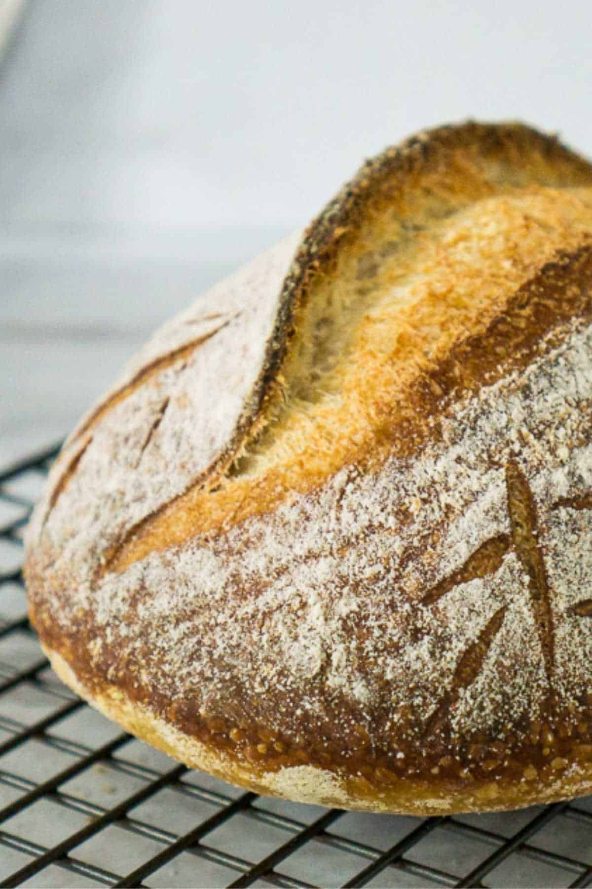 Bread Machine Sourdough Bread Recipe