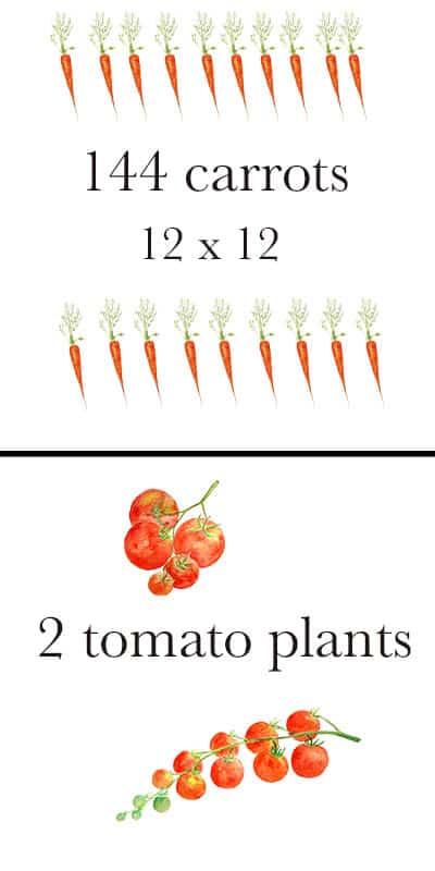 raised vegetable garden layout 4x8