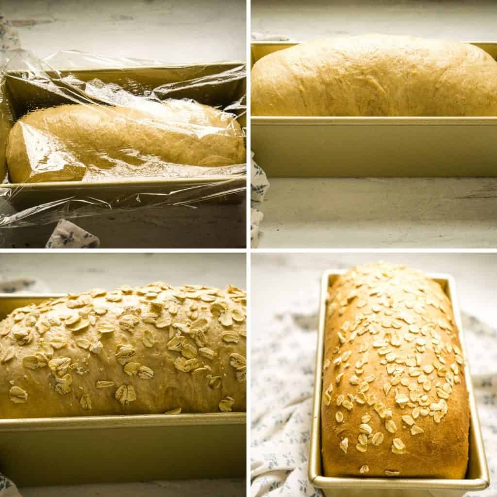 loaf of dough rising, then baked