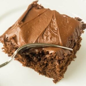 piece of chocolate cake