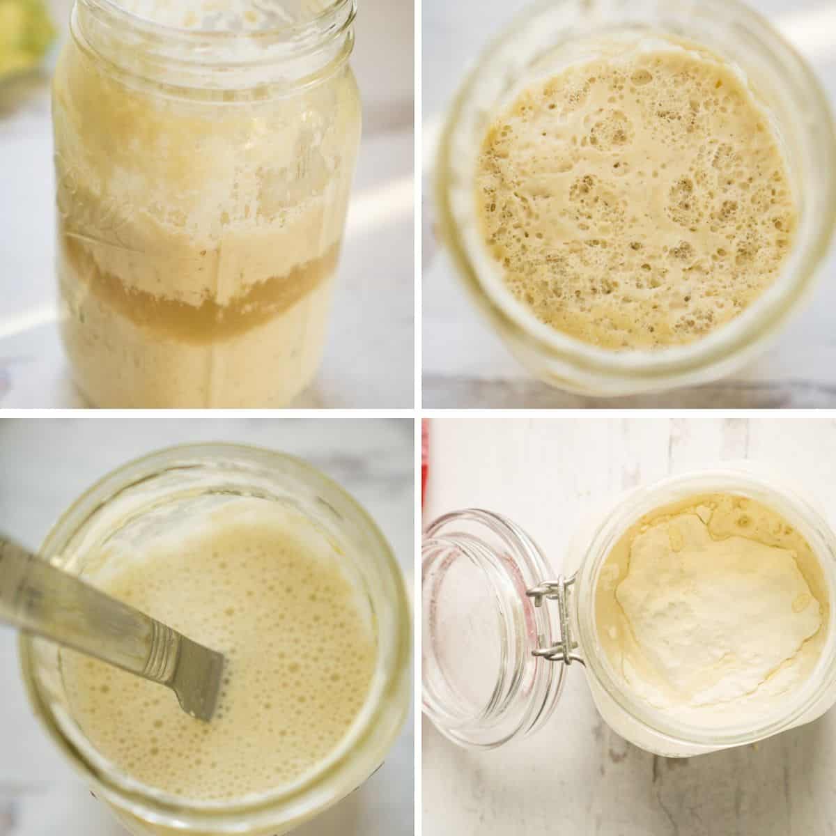 Sourdough Starter From Scratch The Easy Way