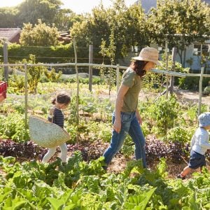 Does Vegetable Gardening Save Money?