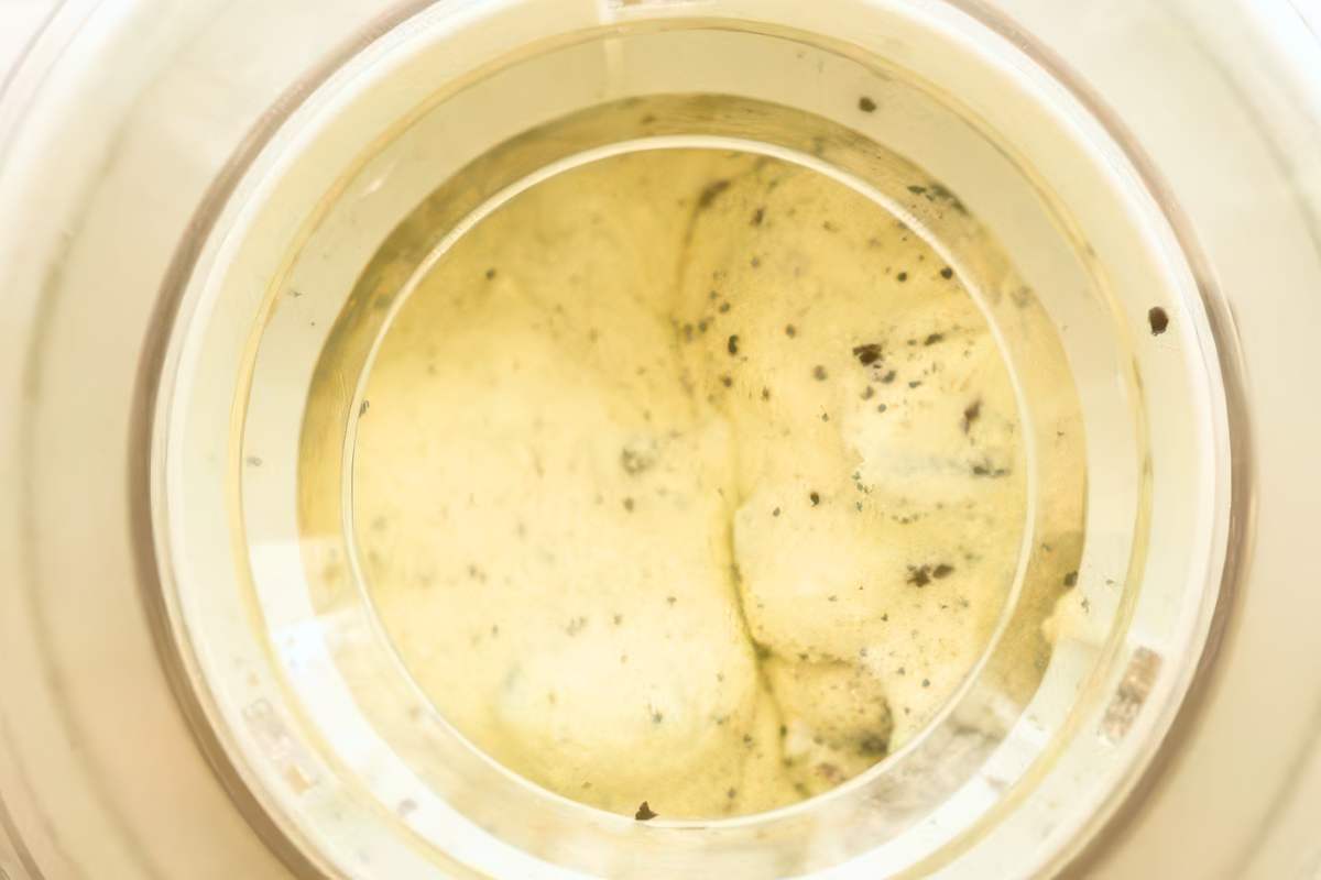 Churned cookies and cream ice cream mixture in an ice cream maker bowl showing cookie pieces
