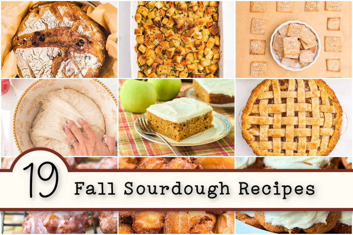 19 Best-Loved Fall Sourdough Recipes