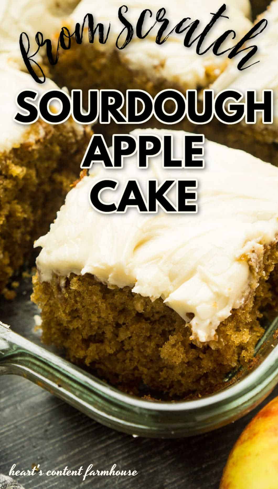 Sourdough Apple Cake