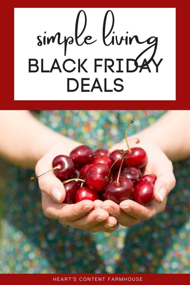 Black Friday and Cyber Monday Homemaker Deals