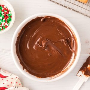 smooth dipping chocolate in white bowl