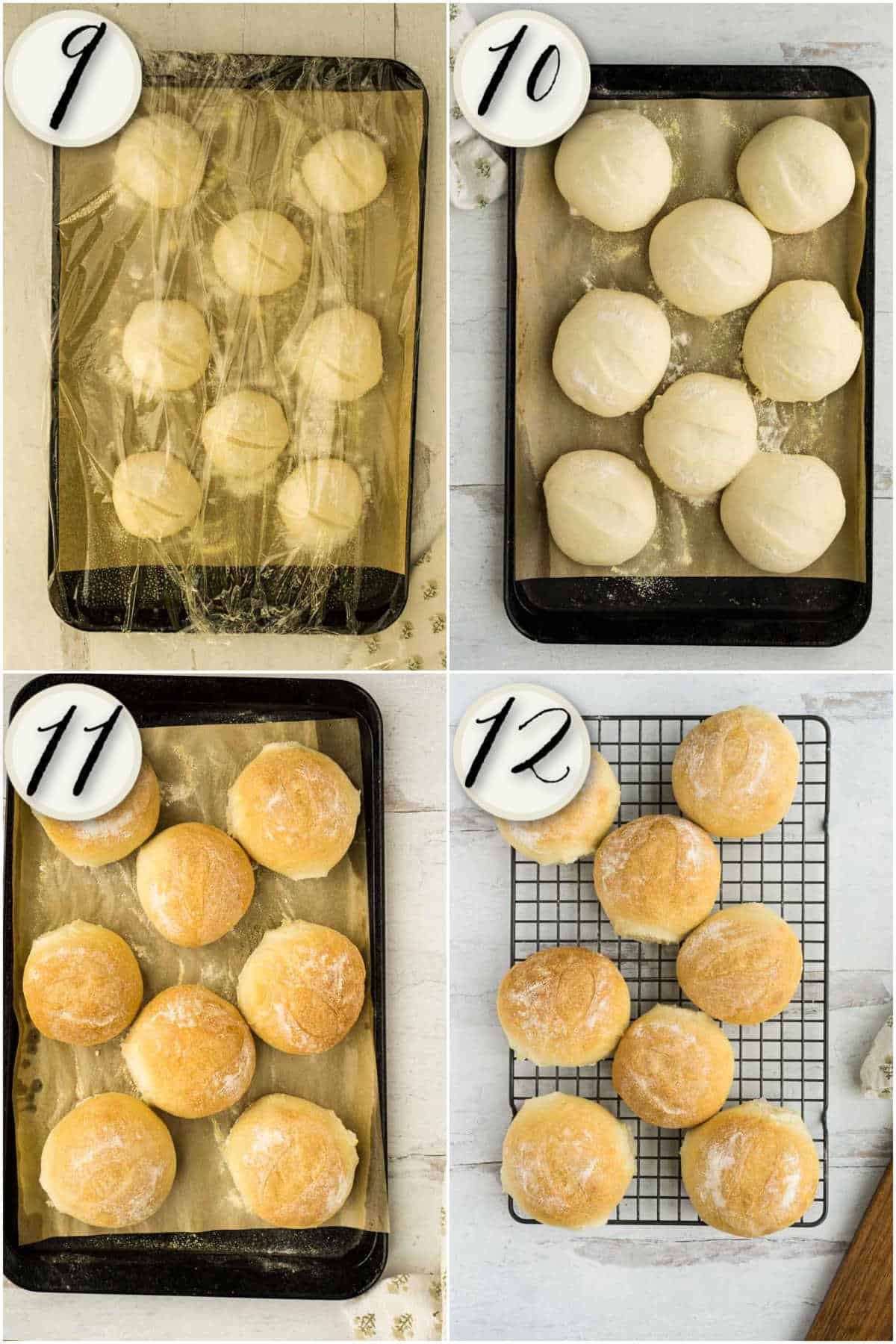 risen rolls. fully baked, and cooling sandwich rolls