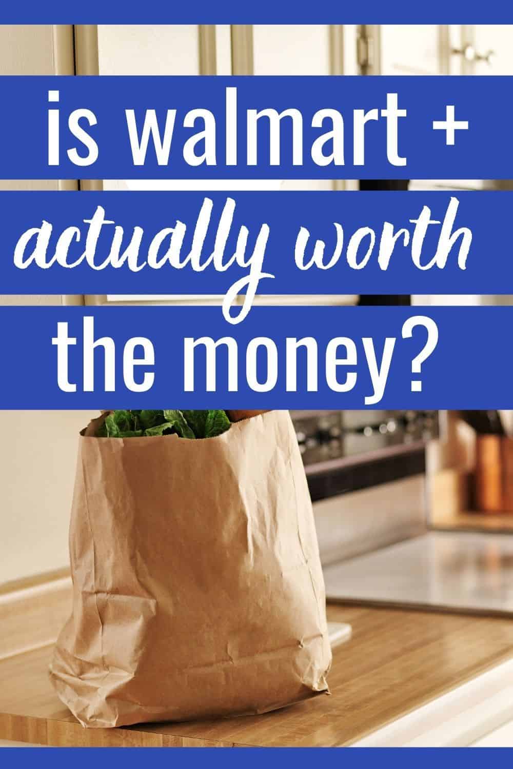 Walmart Plus Honest Grocery Delivery Review: I Tried Express Delivery