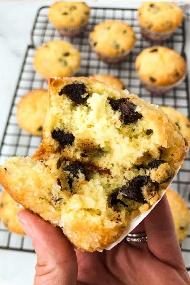 Sourdough Chocolate Chip Muffins Easy Enough for Weekdays