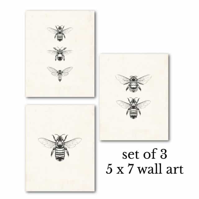 Free Vintage Bee Printables : Heart's Content Farmhouse