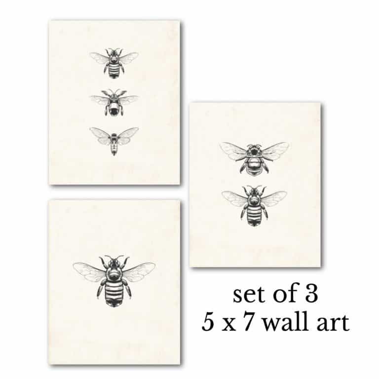 Free Vintage Bee Printables : Heart's Content Farmhouse