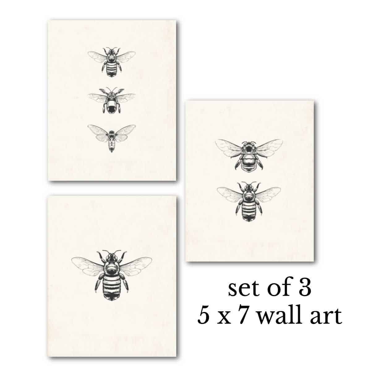 https://heartscontentfarmhouse.com/wp-content/uploads/2021/03/3-vintage-bees-5-x-7-wall-art-.jpg