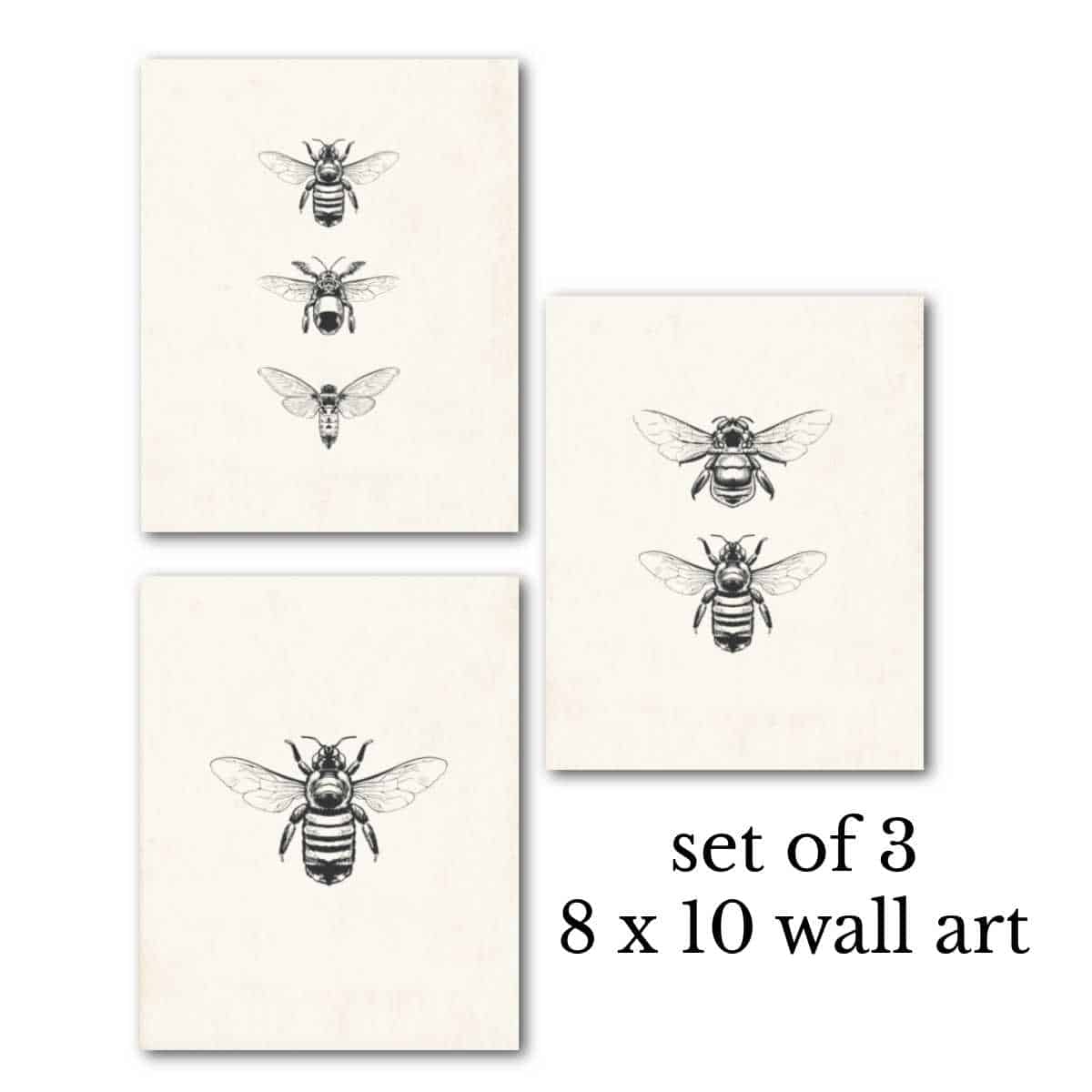 Country Honey Bee Wall Decor Set of 4