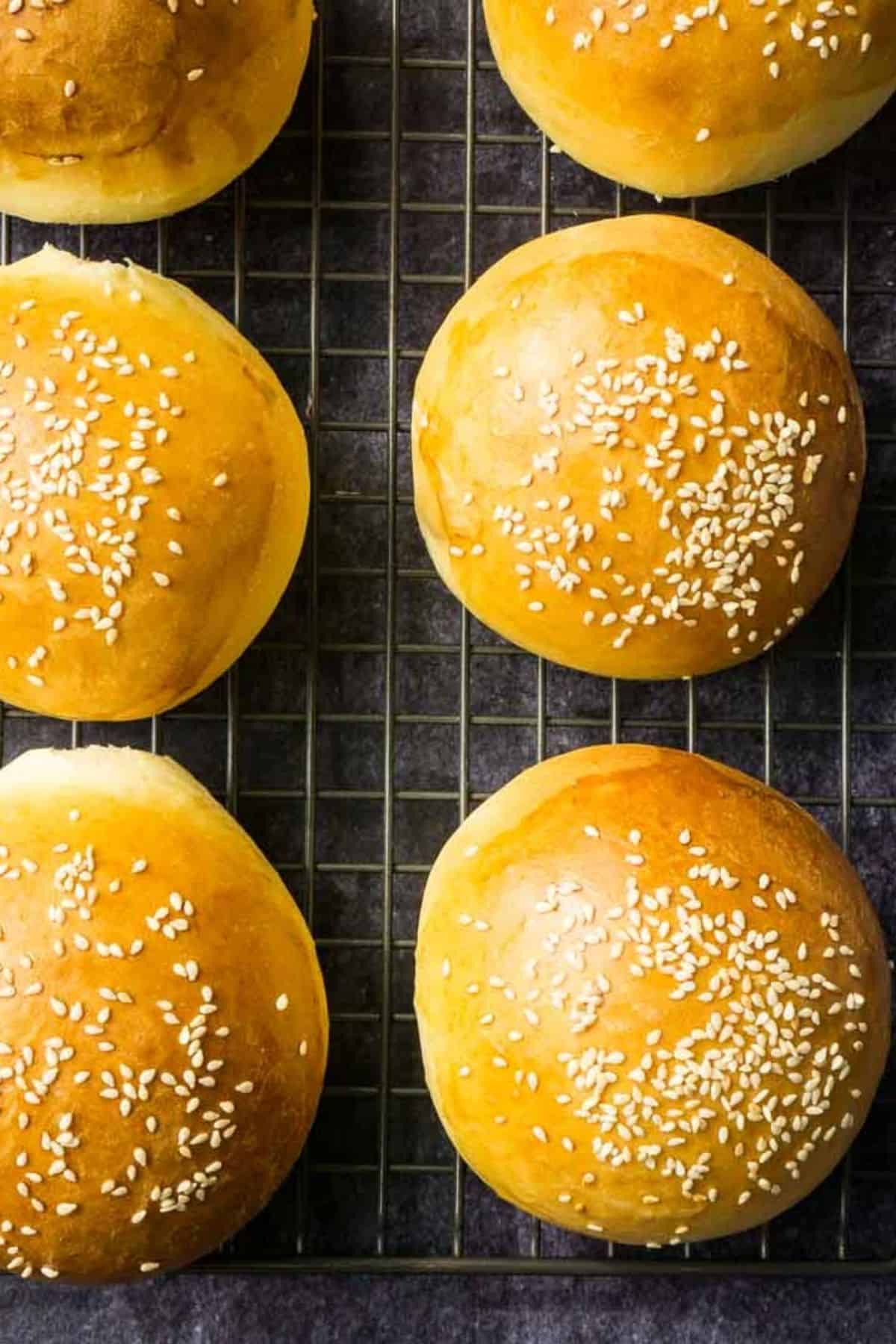 Burger Buns Rezepte Suchen