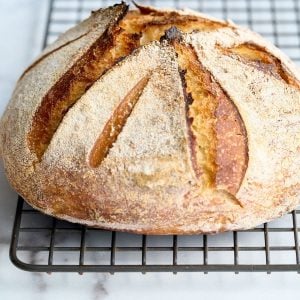 closeup of no knead sourdough boule