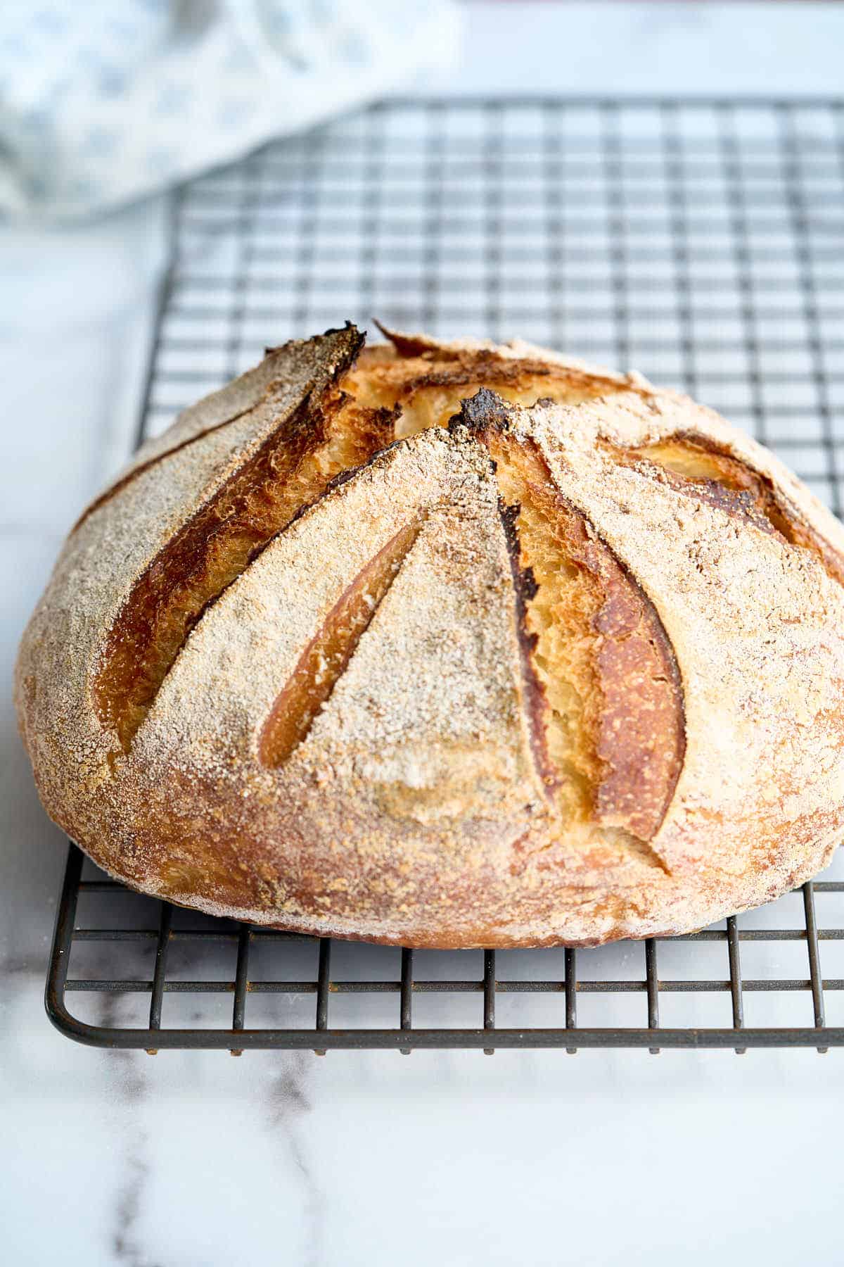 No.8 No-Knead Sourdough Bread – Field Company