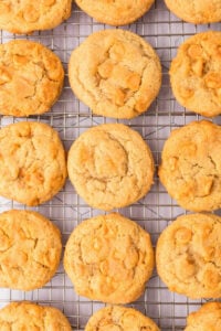 Old Fashioned Butterscotch Cookies