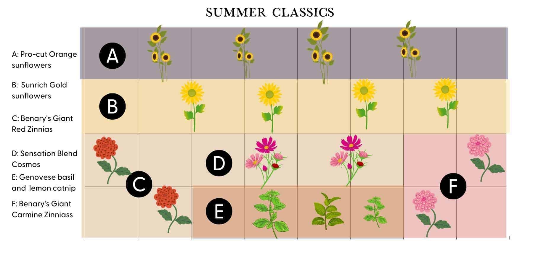 Plans for Cutting Gardens with Planting Map