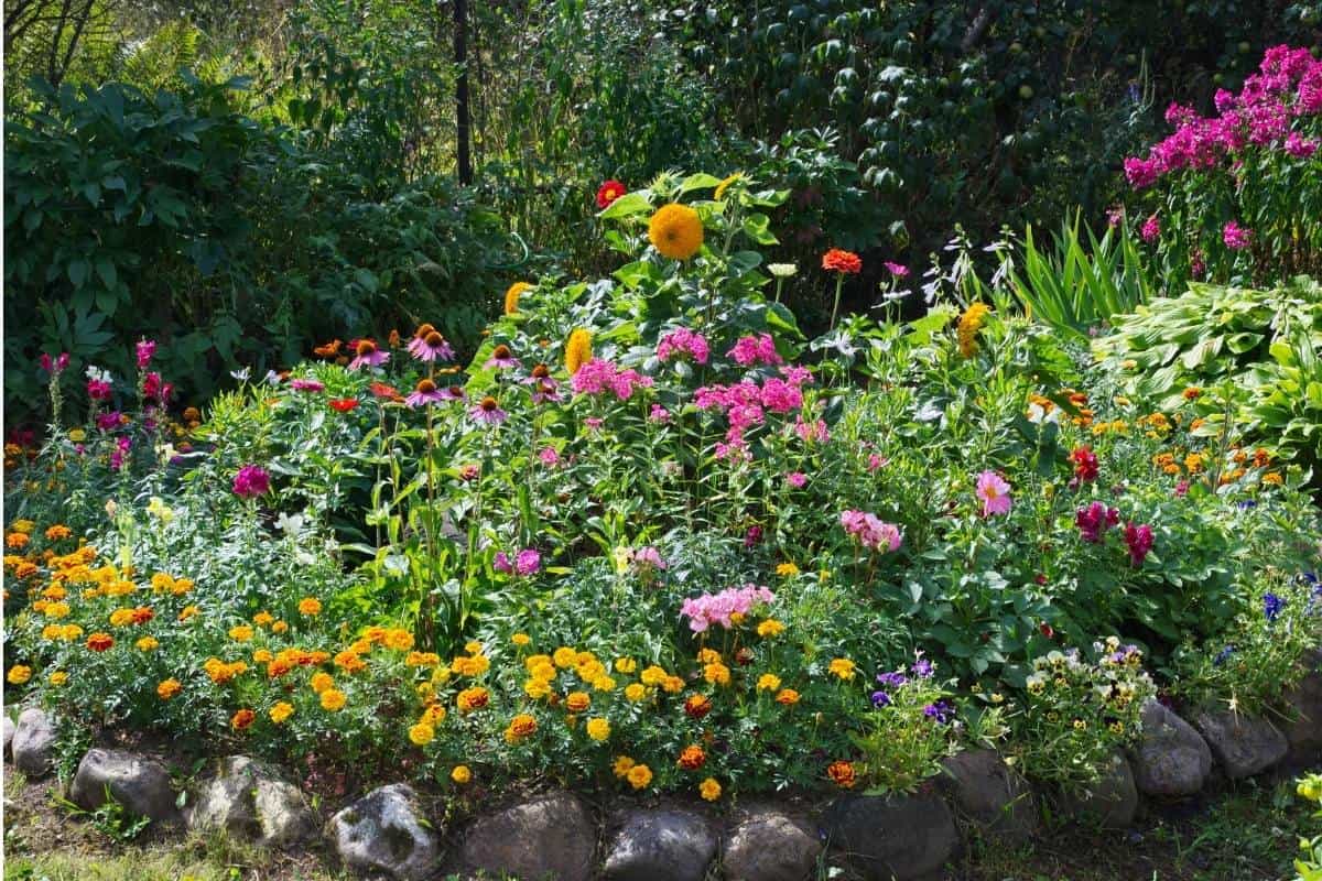 Edible Flowers, Root Grow Bloom