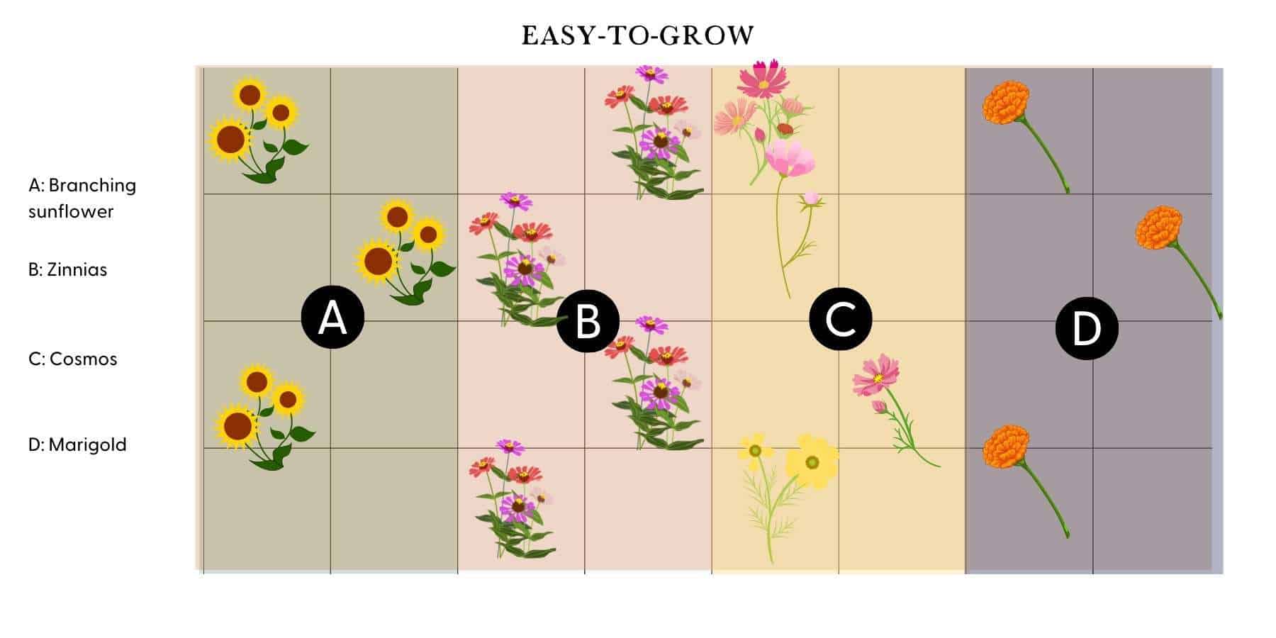 Plans for Cutting Gardens with Planting Map