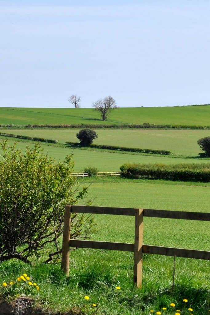 rolling green farmland with gate