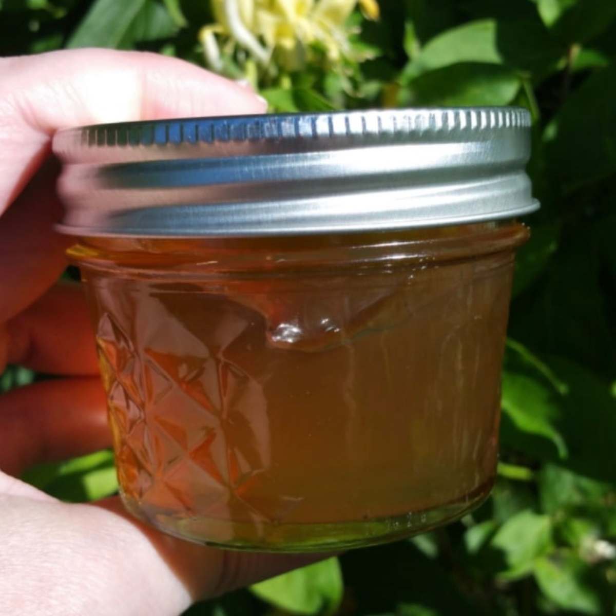 hand holding small jar of jelly