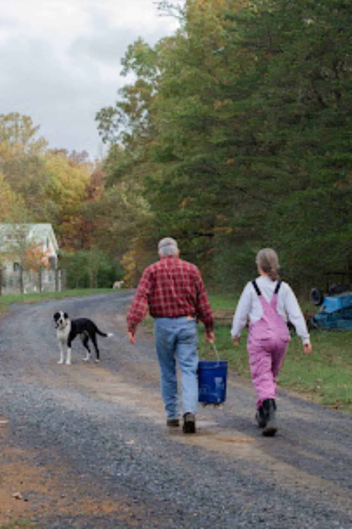 The Homesteading Encyclopedia: The Essential Beginner's Homestead Planning Guide for a Self-Sufficient Lifestyle [Book]