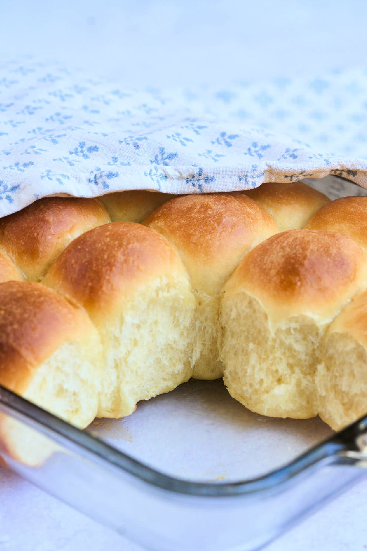13 x 9 dish of yeast rolls. 