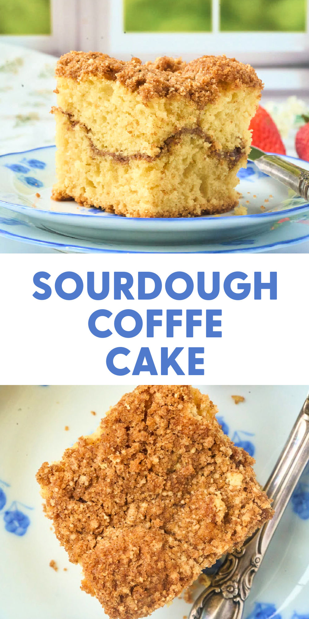 Sourdough Coffee Cake with Cinnamon Streusel Topping
