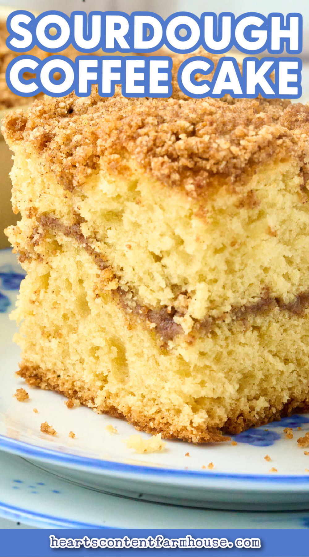 Sourdough Coffee Cake with Cinnamon Streusel Topping