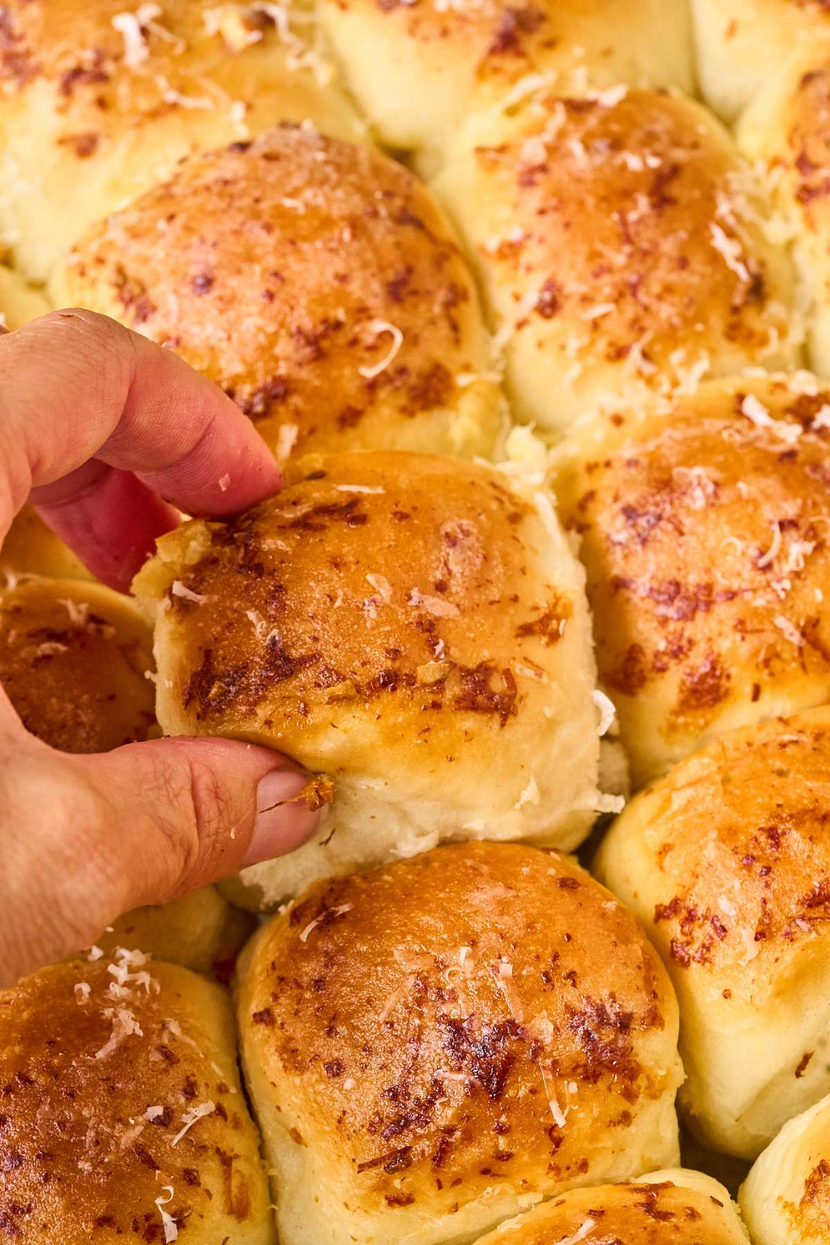 Hand pulling apart a golden dinner roll from a pan of baked rolls.