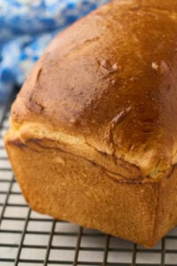 shiny loaf of sandwich bread on rack.