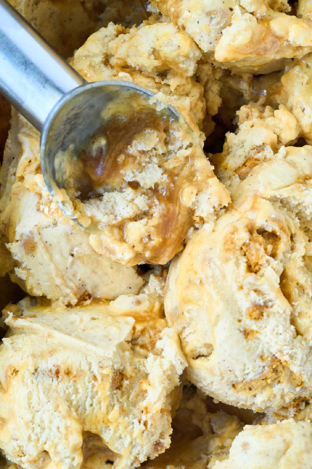 Caramel Gingersnap Ice Cream Recipe