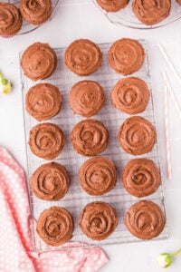 cooling back of 2 dozen cupcakes.