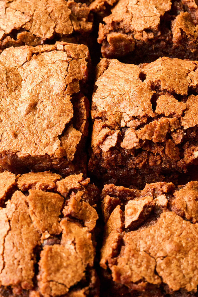 close up view of sourdough brownies.