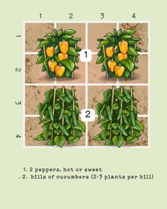 Garden Plans for 4 x 4 Beds {Sample Layouts for Vegetable Gardens}