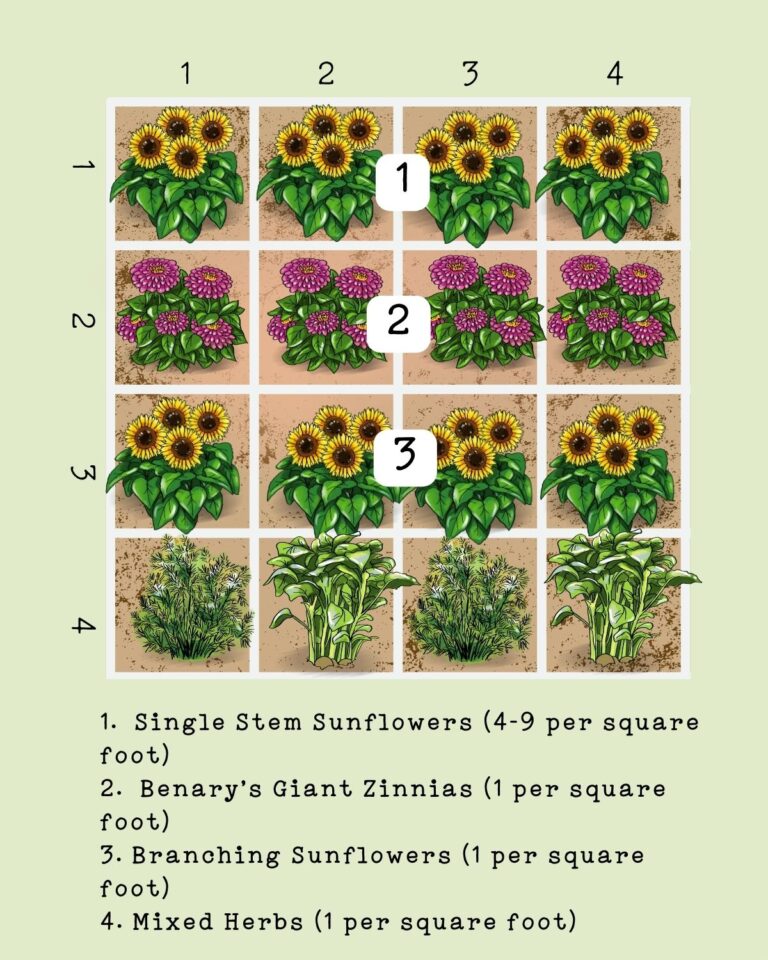 Garden Plans for 4 x 4 Beds {Sample Layouts for Vegetable Gardens}