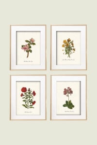 set of four framed prints.
