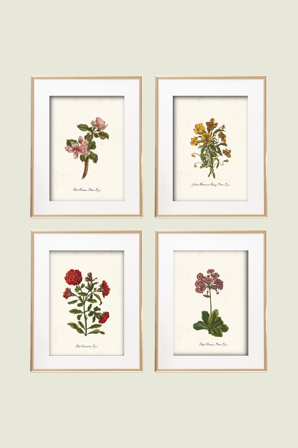 set of four framed prints.
