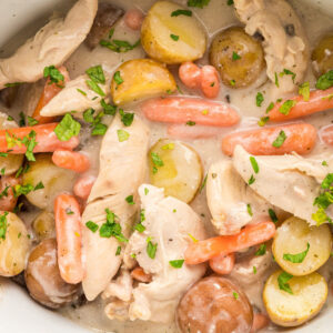 close up of baby veggies and chicken in a creamy sauce.