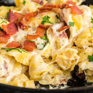 finished close up dish with melted cheese.